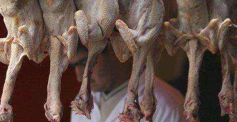 Halal meat labeling plan rejected by MPs