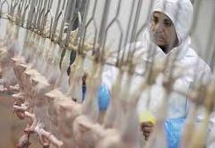 Top British universities including Oxford and Manchester secretly serve Halal meat 