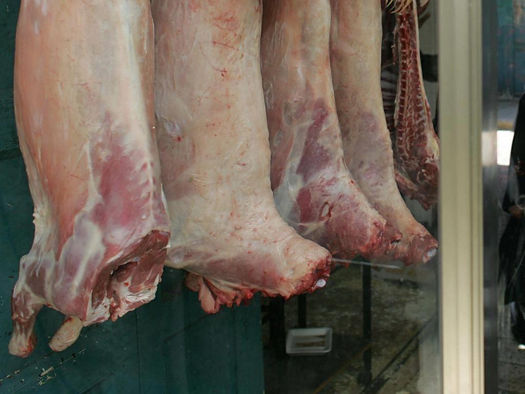 Danish government canceled ban on Holocaust denial for Muslims and Kosher for Jews