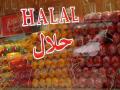 Design of Halal Detection Software in Malaysia